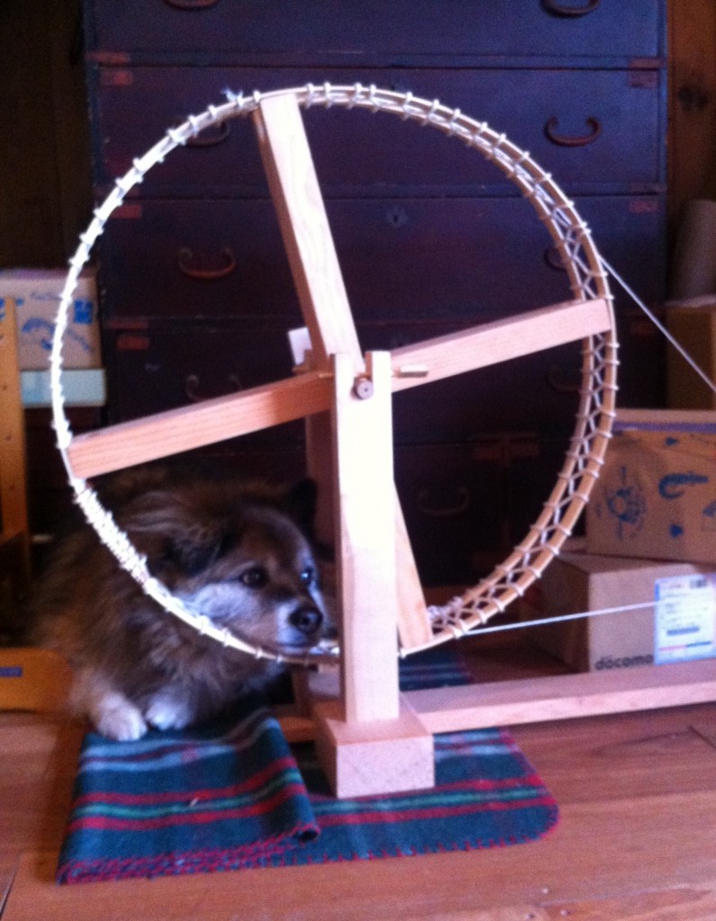 Maru with spinning wheel