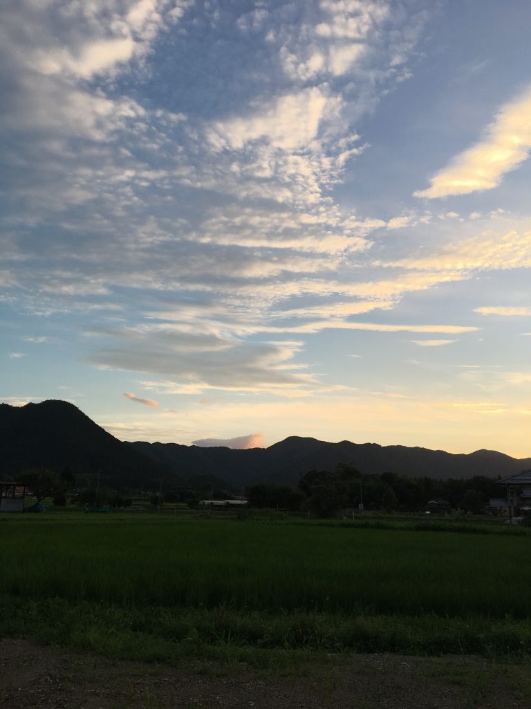 今日の夕方