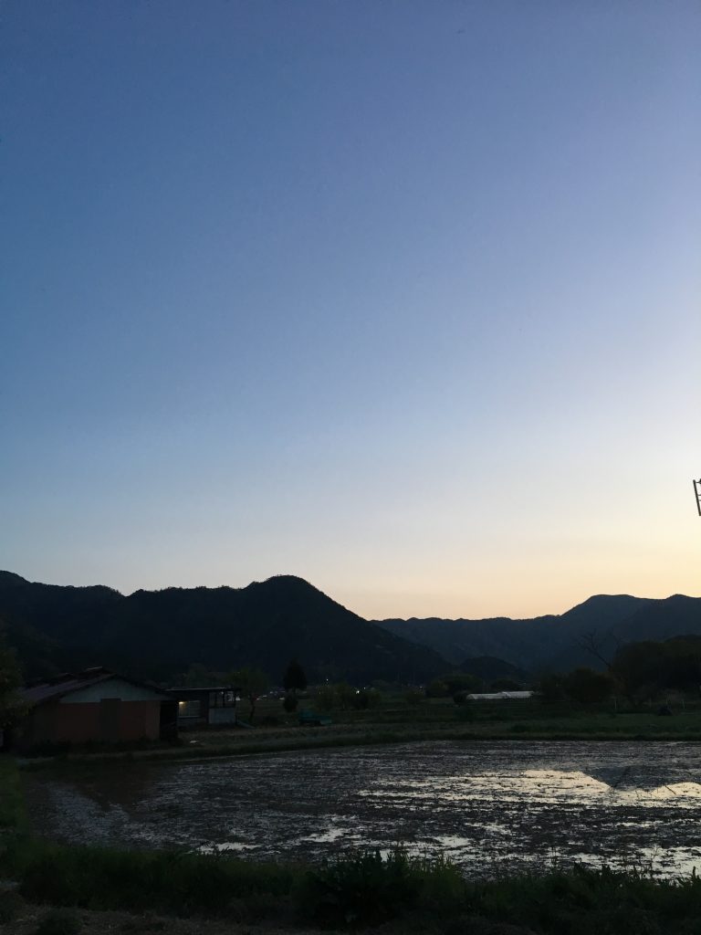 春の夕方