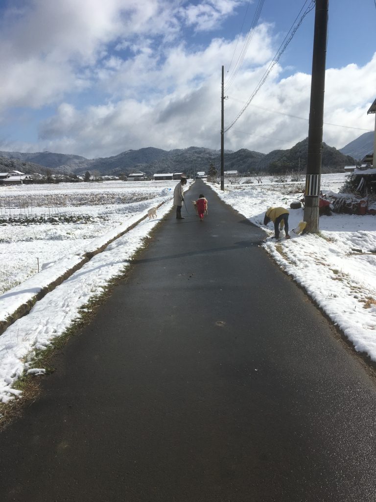 雪の日の散歩